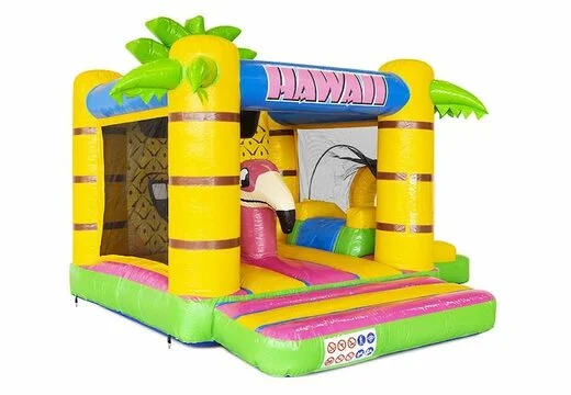 Château Gonflable Bouncy Box Hawaii vue 4