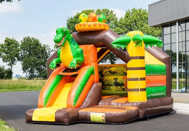 Combo Toboggan Dino vue 3