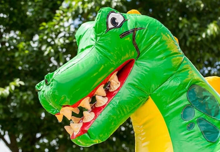 Combo Toboggan Dino vue 5