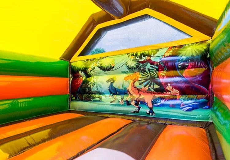 Combo Toboggan Dino vue 6
