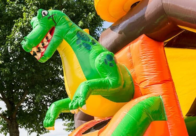 Combo Toboggan Dino vue 7