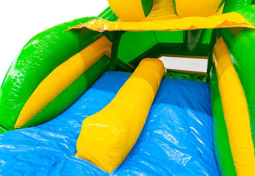 Château Gonflable Double Combo Toboggan Dino vue 8