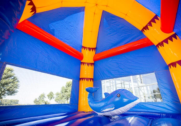 Château Gonflable Maxifun Super Plage vue 7