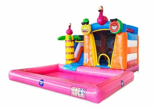 Château Gonflable Mini Splash Flamingo vue 2