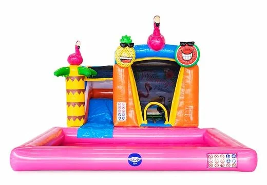 Château Gonflable Mini Splash Flamingo vue 3