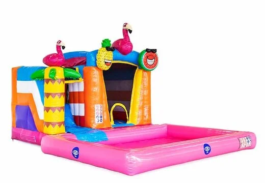Château Gonflable Mini Splash Flamingo vue 4