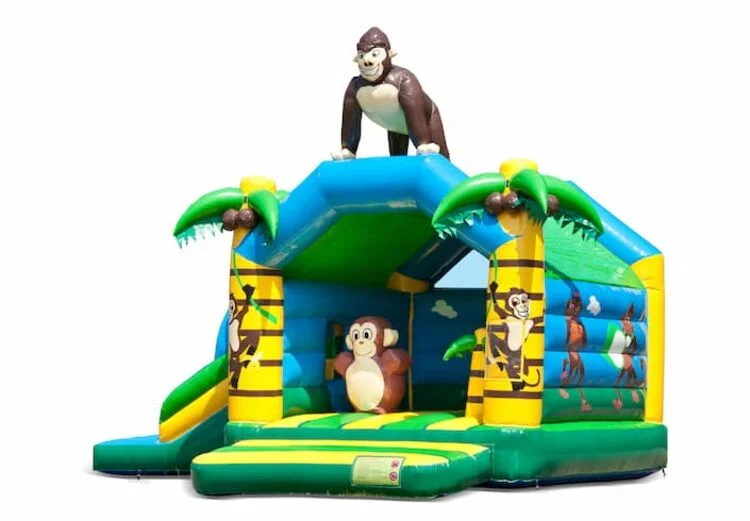 Château Gonflable Multifun Jungle vue 2