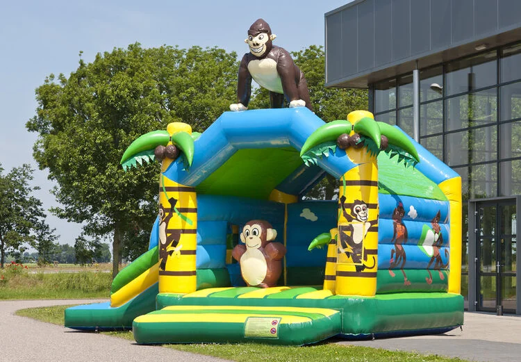Château Gonflable Multifun Jungle vue 3