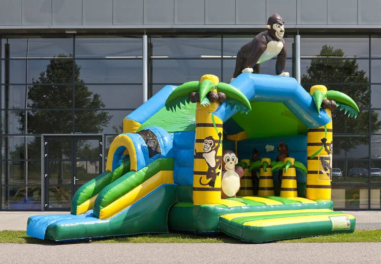 Château Gonflable Multifun Jungle vue 4