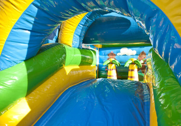 Château Gonflable Multifun Jungle vue 6