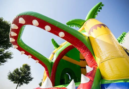 Château Gonflable Multifun Super Crocodile vue 6