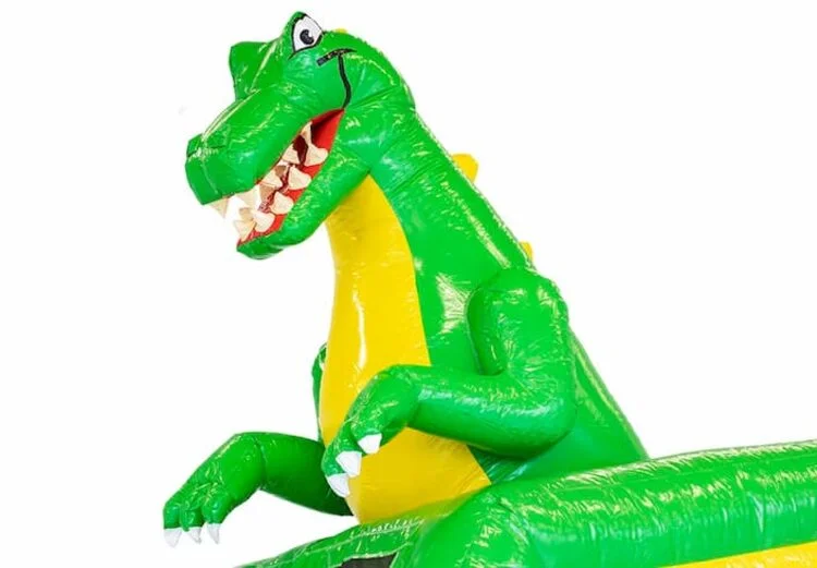 Petit Toboggan Gonflable Dino vue 4